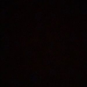 Meet your Posher, Vivian